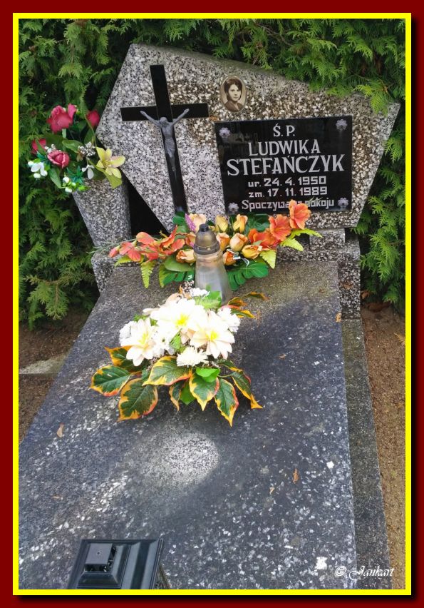 Stefańczyk L.